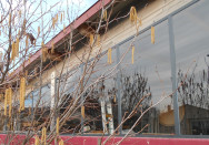 Pose de vitrages feuilletés sur une verrière extérieure à Belleville-en-Beaujolais (69)